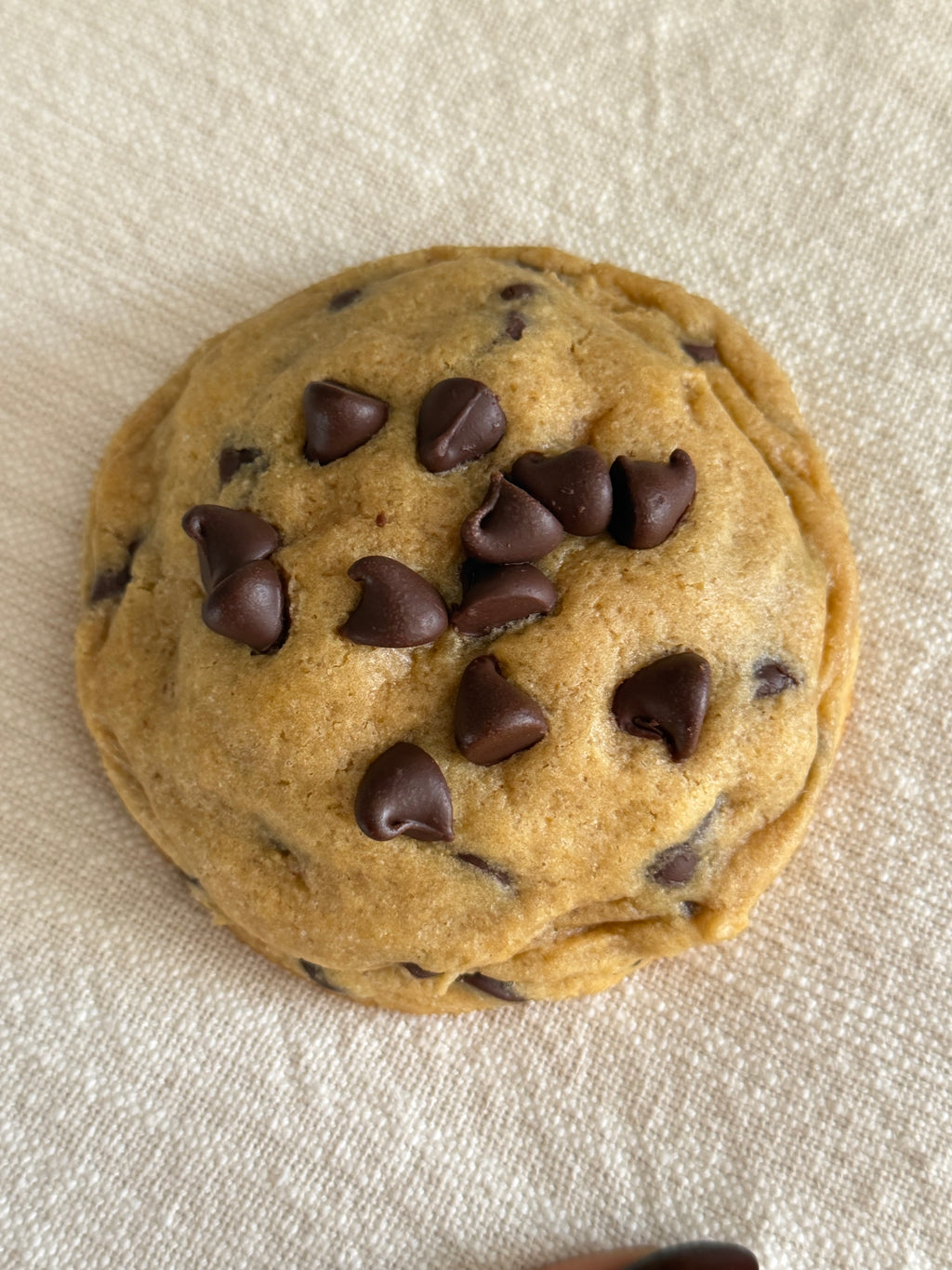 Chocolate Chip